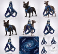 [PRIVATE DESIGN] Kynlo Park™ Cosmic Journey Elite Harness