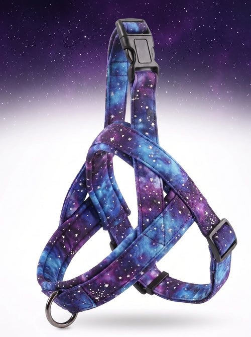 Kynlo Park™ Nebula-Walk™ Cosmic Explorer Harness