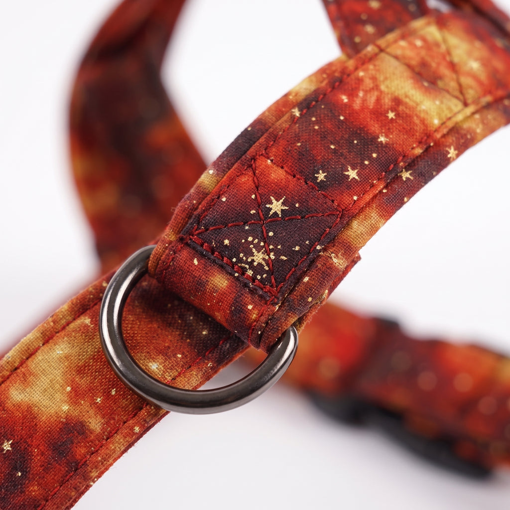 Kynlo Park™ Nebula-Walk™ Cosmic Explorer Harness