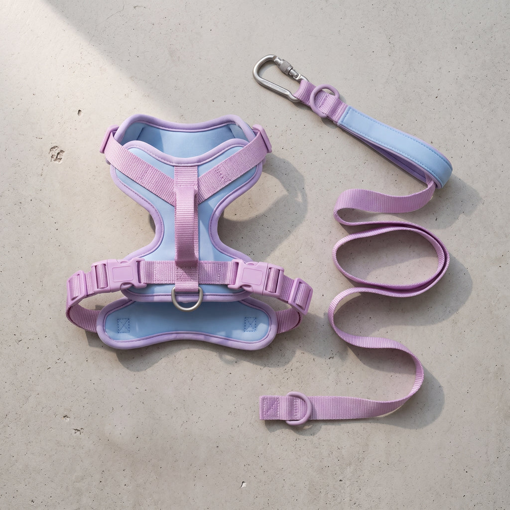 ☀️ Kynlo Park™ Sol-Vista™ Summer '26 Signature Harness