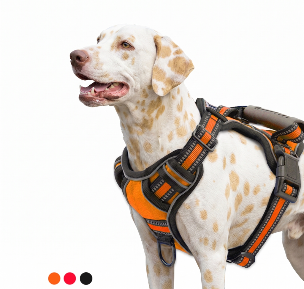 Kynlo Park™ Urban Scout Reflective Harness