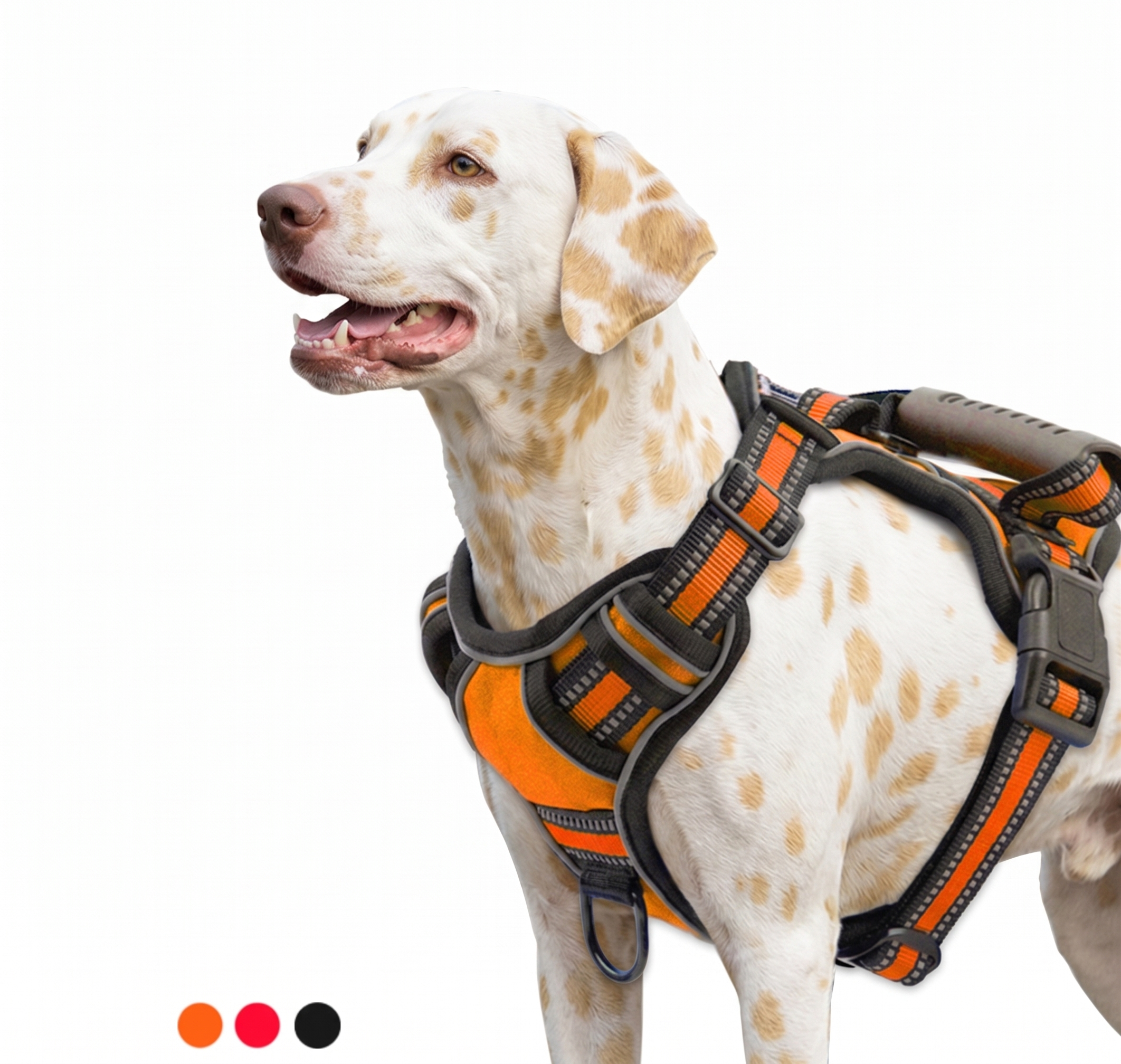 Kynlo Park™ Urban Scout Reflective Harness