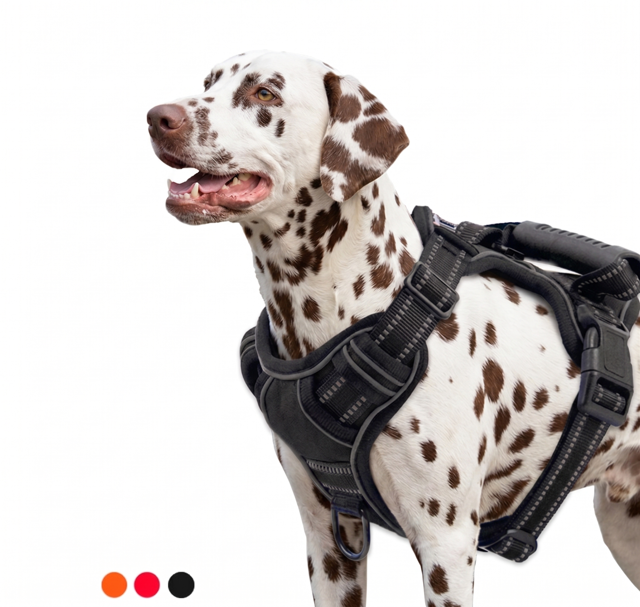 Kynlo Park™ Urban Scout Reflective Harness