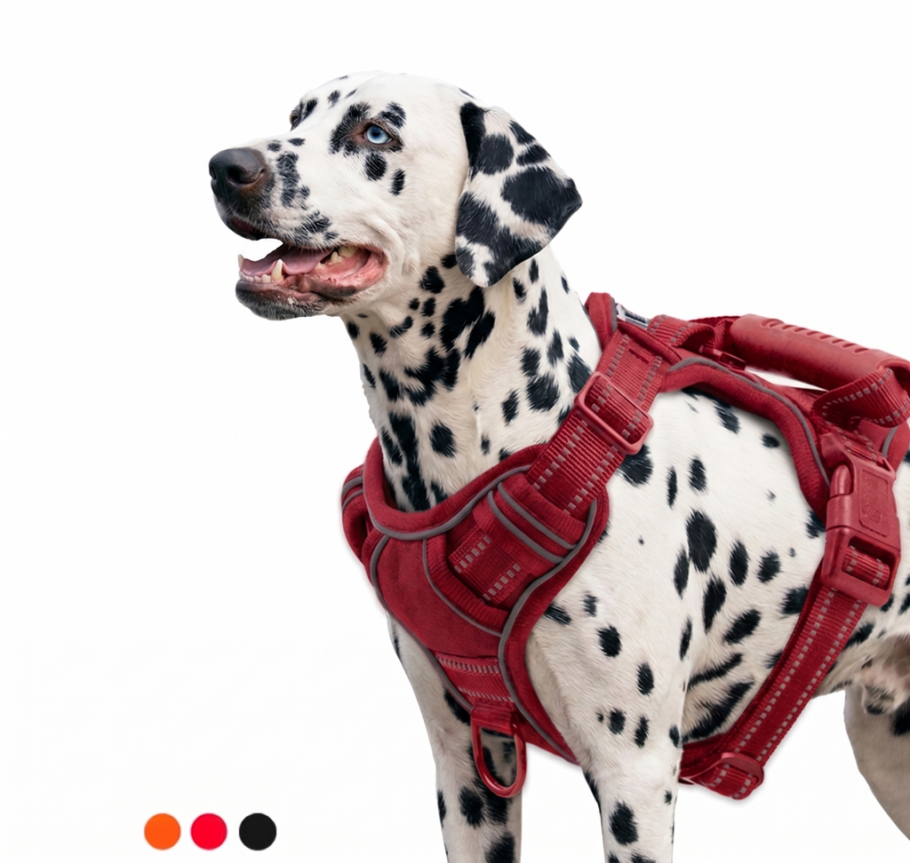 Kynlo Park™ Urban Scout Reflective Harness