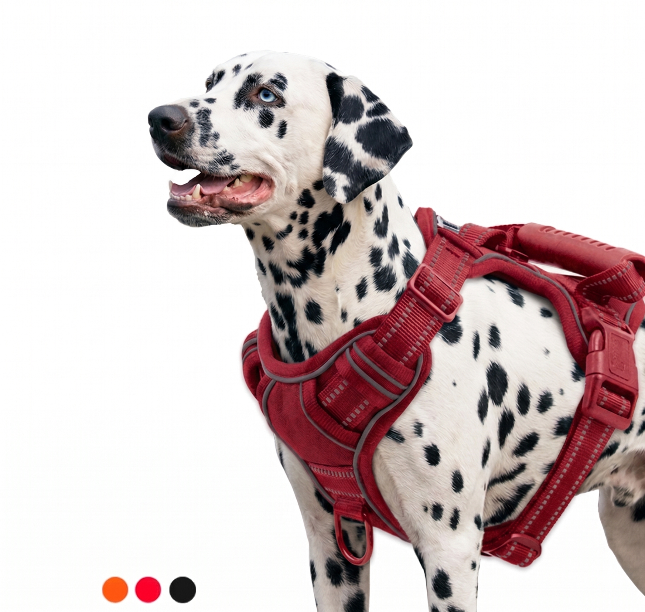 Kynlo Park™ Urban Scout Reflective Harness