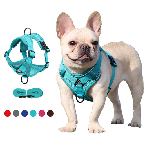 Kynlo Park™ Bohemian Elite Embroidered Leather Harness