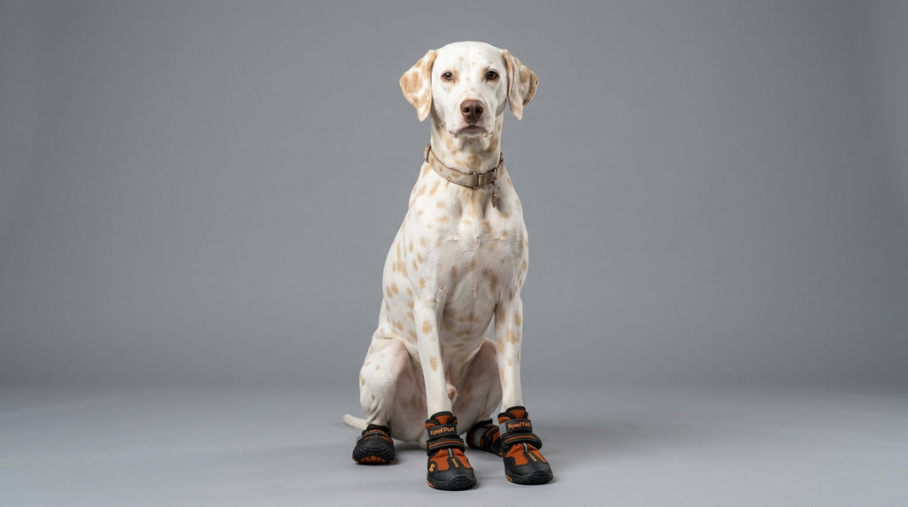 Kynlo Park™ TrailBlazer All-Weather Dog Boots (Set of 4)