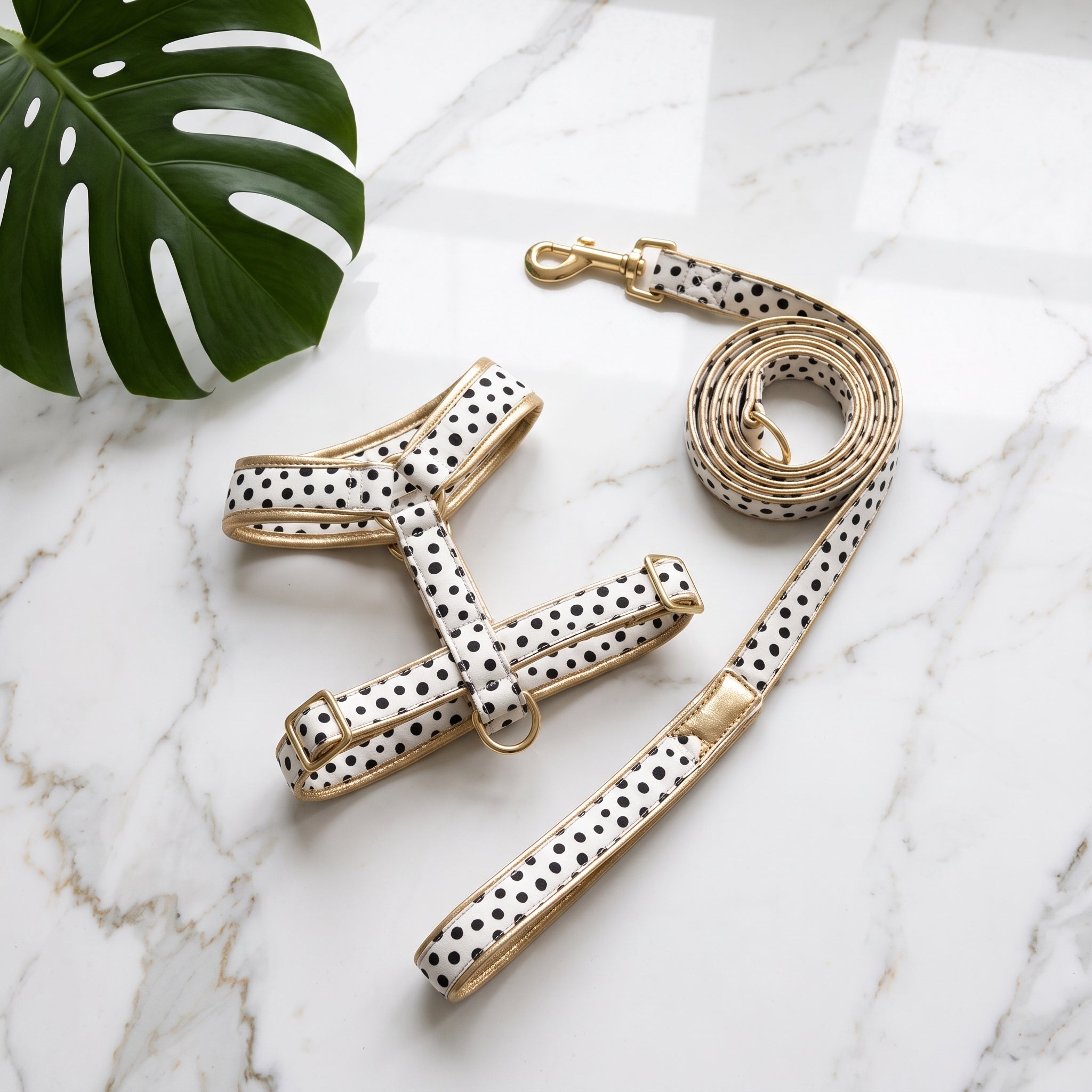 [PRIVATE DESIGN] Kynlo Park™ Dalmatian Collection Elite Harness