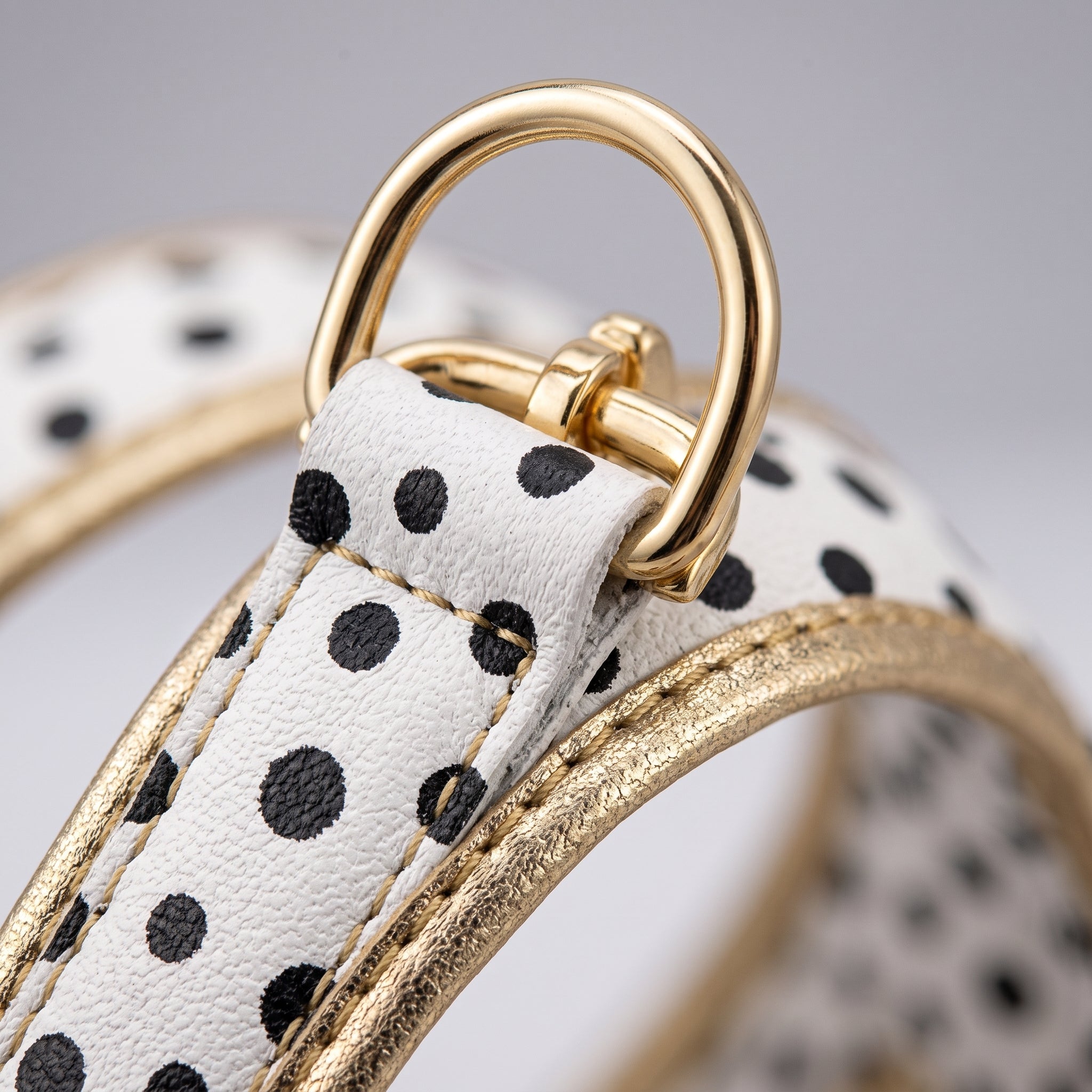 [PRIVATE DESIGN] Kynlo Park™ Dalmatian Collection Elite Harness